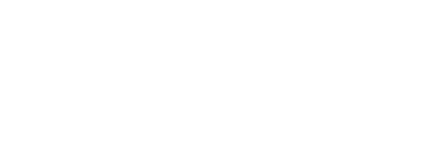 Horizontal Logo — White