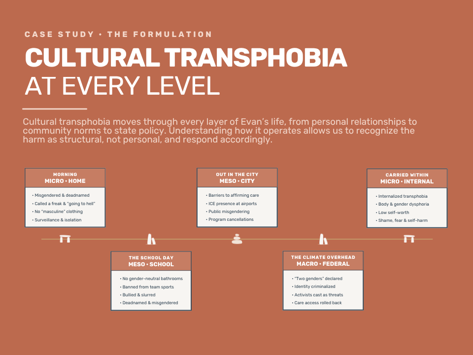 Cultural transphobia at every level